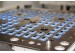 O-ring mould Melon