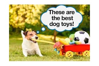 New Dog Toy Order/ Rubber Food Grade Pet Training Toy Order From USA/AwesomeRubber Supplier